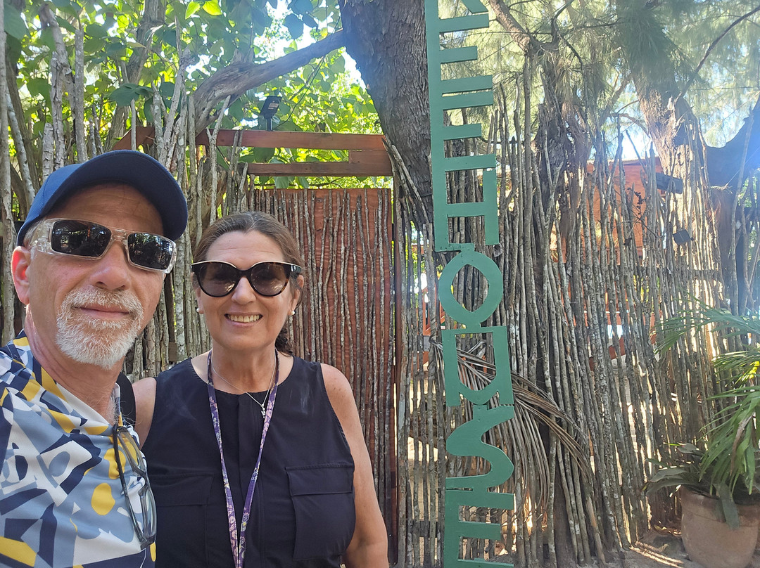 Treehouse Beach Club-圣 约翰必去景点