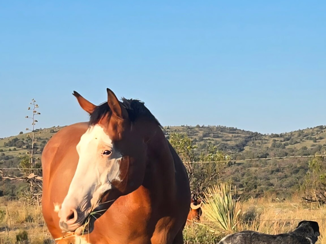 Double R Ranch-Elgin必去景点