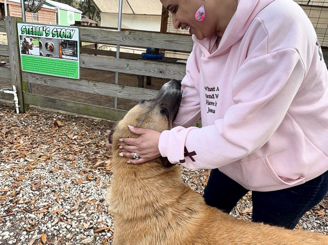 Rooterville Animal Sanctuary-Melrose必去景点