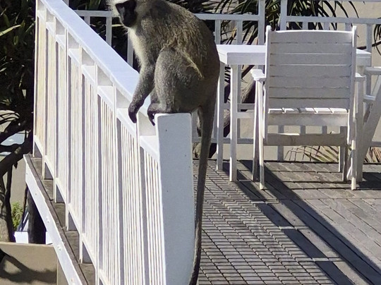 Fairlight Beach House主图