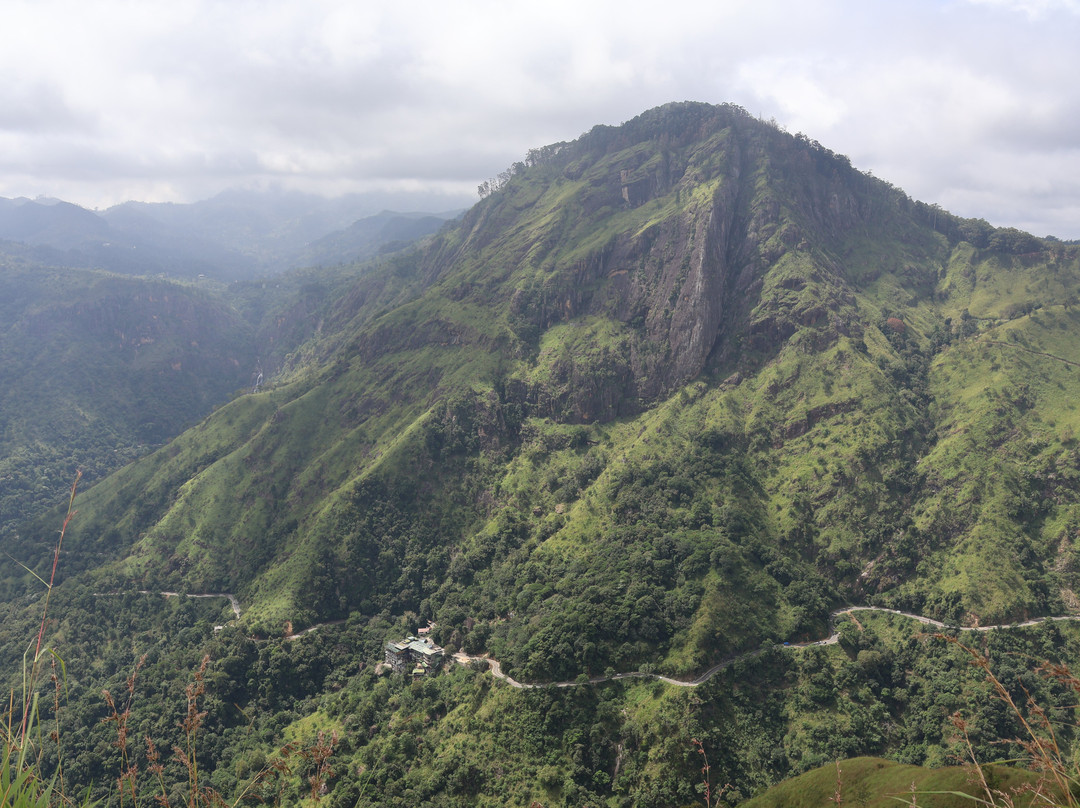 Explore Lanka Tours By Sahan-佩拉德尼亚必去景点