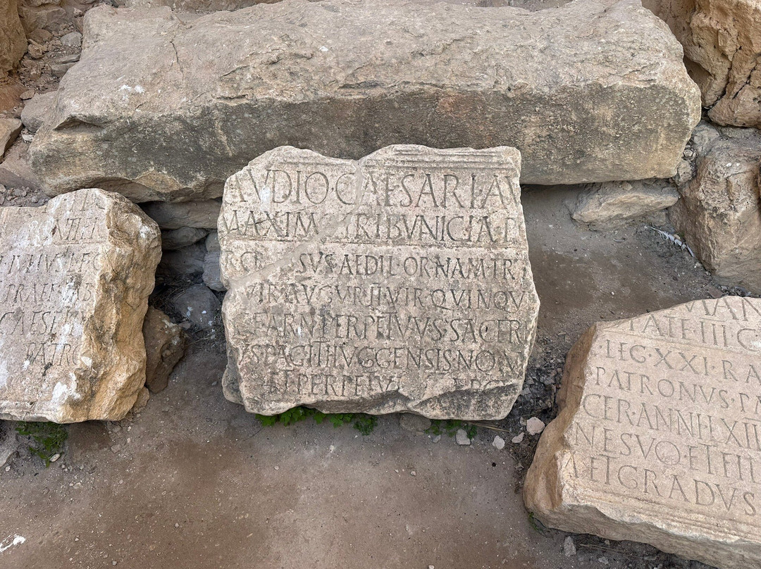 Verger des Montagnes主图