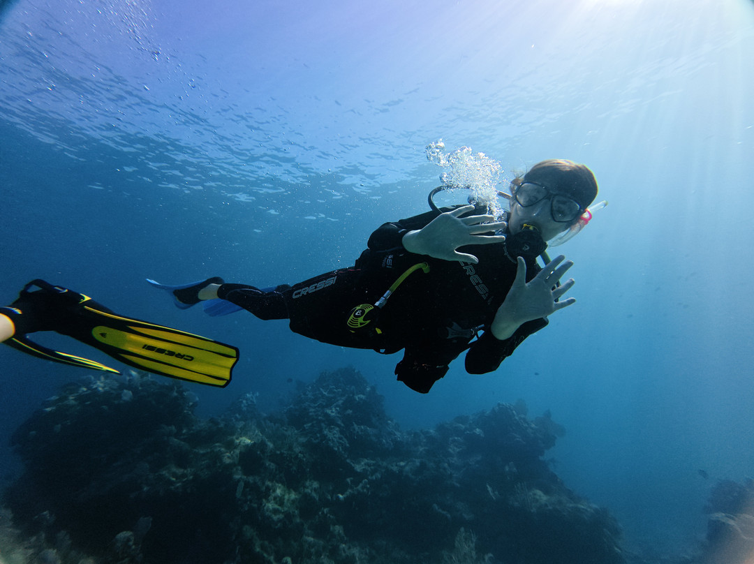 帆鱼潜水-拉哥岛必去景点