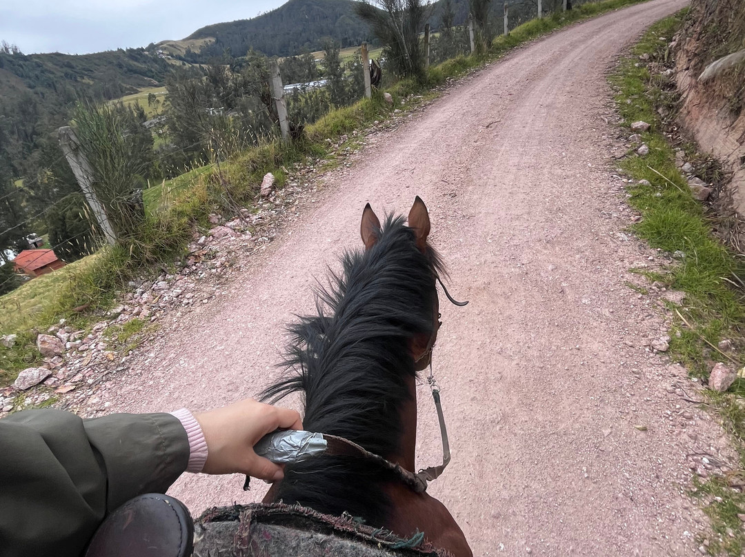 Centro Ecuestre Bellavista-昆卡必去景点