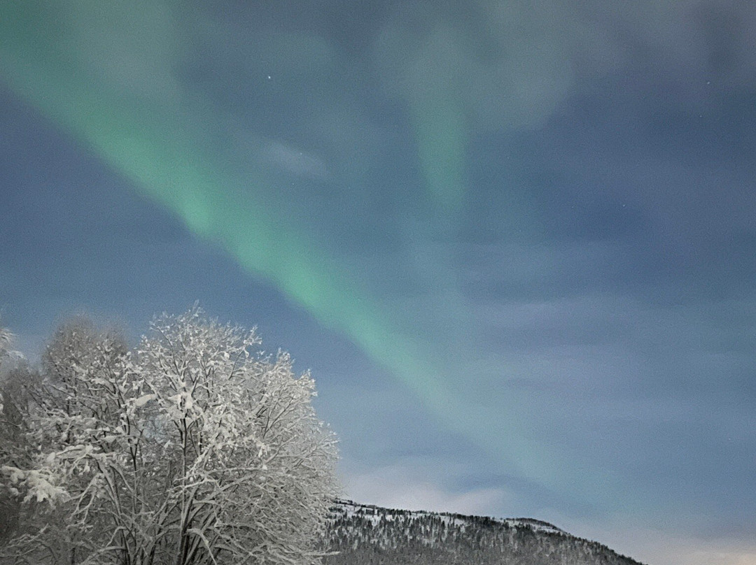 Green Gold of Norway-Troms必去景点