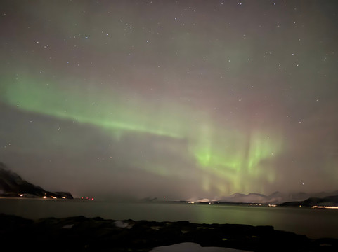 Steam Tours-特罗姆瑟必去景点