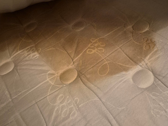 Wingate by Wyndham South Bend/Notre Dame主图