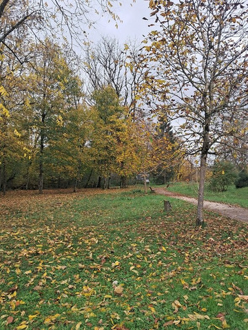 Fleury-Devant-Douaumont-Fleury-Devant-Douaumont必去景点