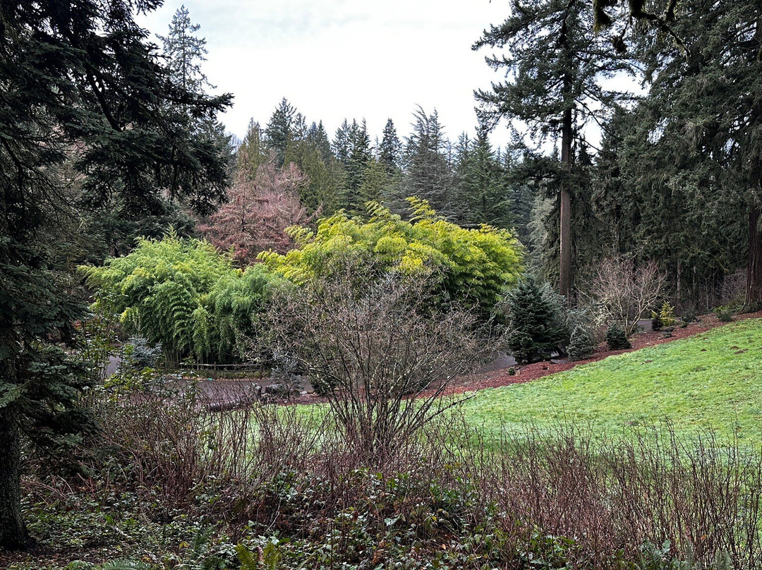 Hoyt Arboretum-波特兰必去景点