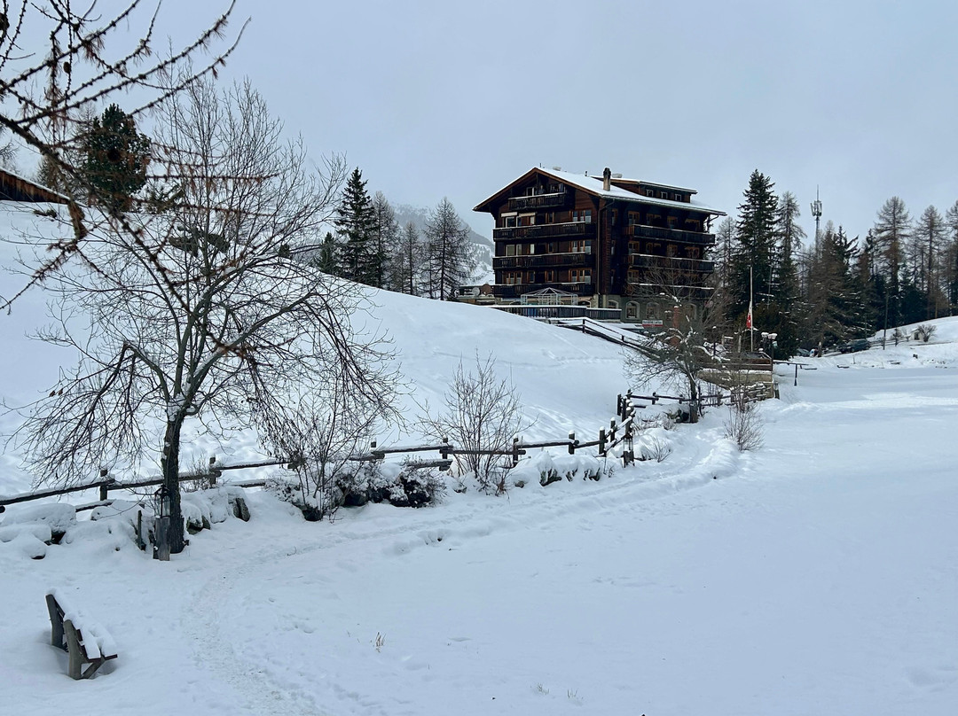 Restaurant Zum See - Pension Aaron