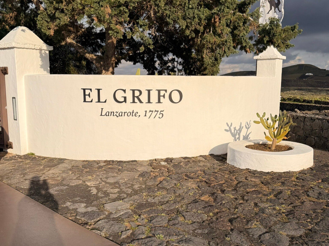 Wine Tours Lanzarote-卡门港必去景点