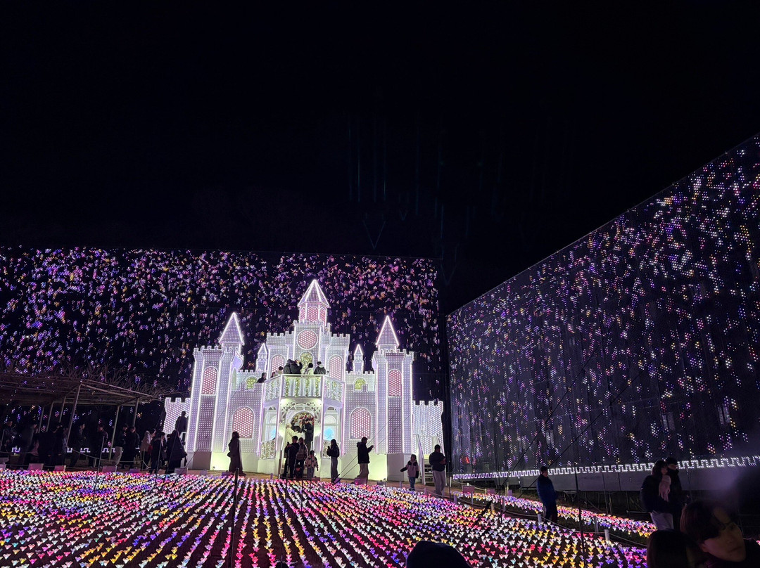 Ashikaga Flower Park-足利市必去景点