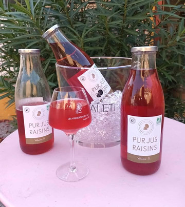 Cave Vignerons du Luc-Le Luc必去景点