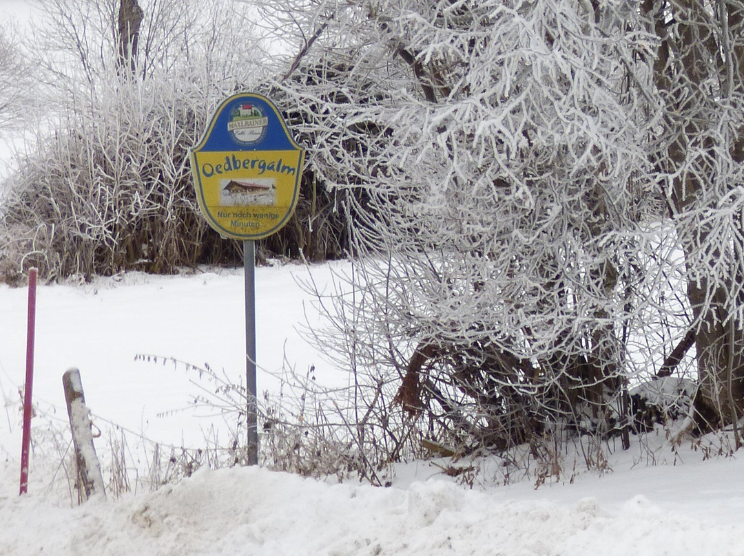 Ski Resort Oedberg-Gmuend必去景点