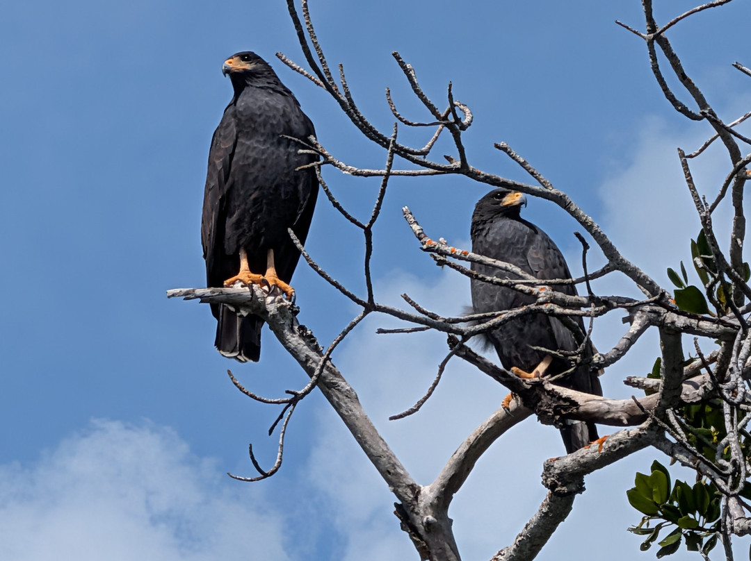 Taxi Personalizado-巴利亚多利德必去景点