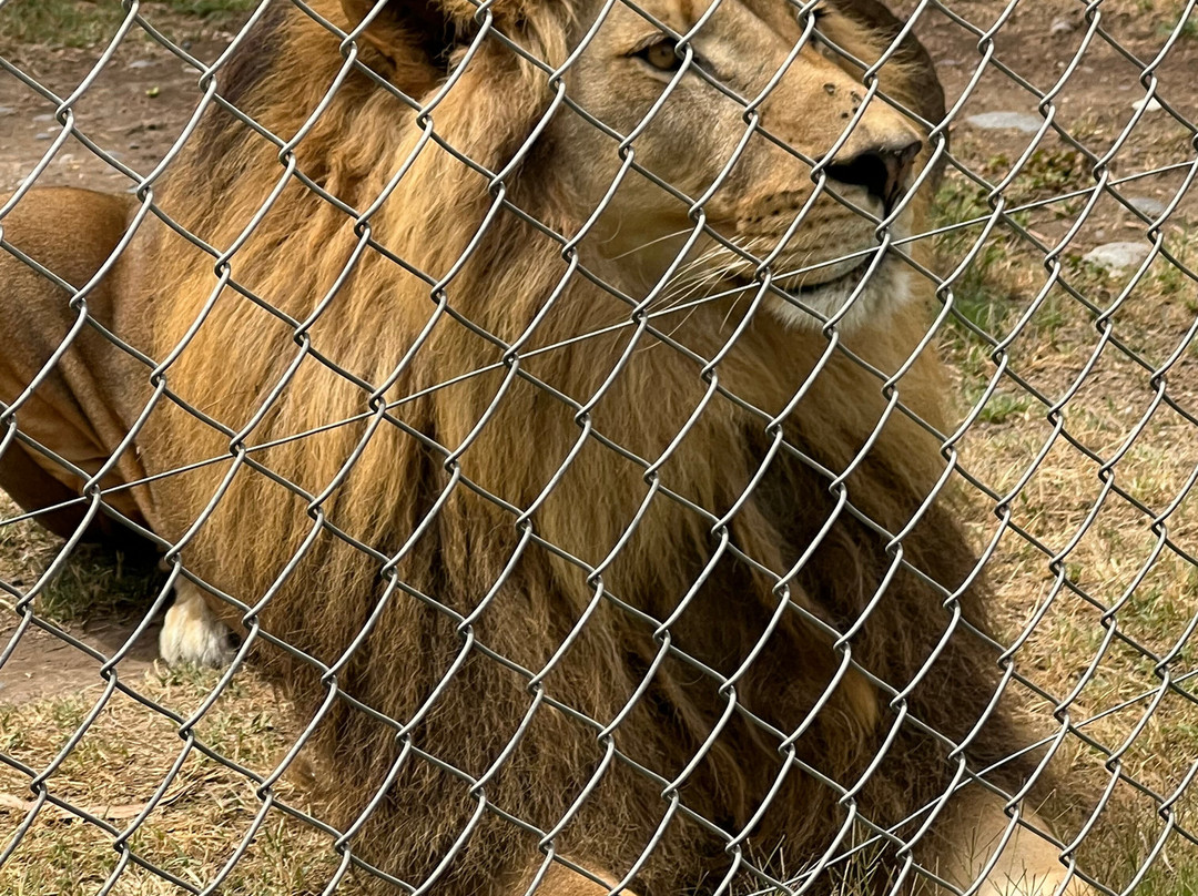 Parque Safari-兰卡瓜必去景点