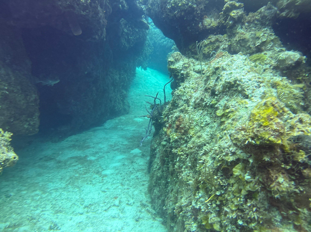 Chub Cay Divers-Chub Cay必去景点