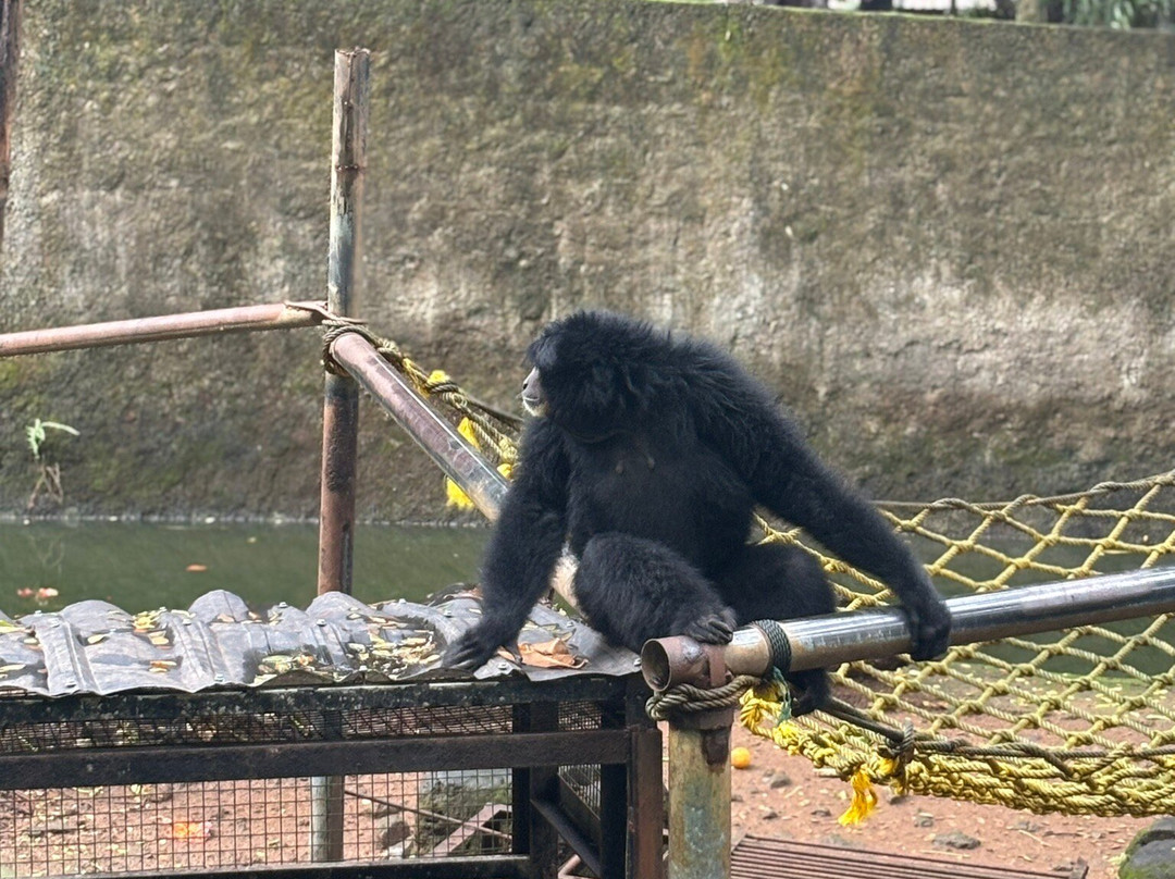 Iskandar Lombok Driver-Senggigi必去景点