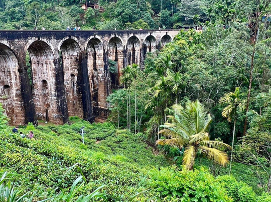 Sure Sri Lanka - Day Tours-科伦坡必去景点