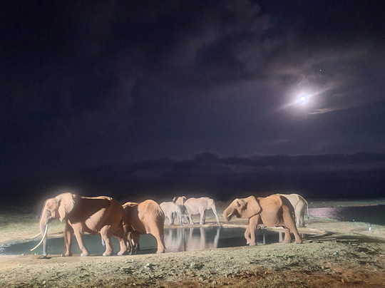 Live Kenya Con Prezzemolo-瓦塔木必去景点