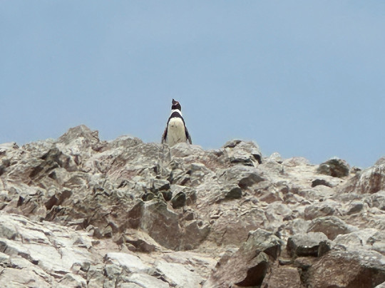Vipac Travel-利马必去景点