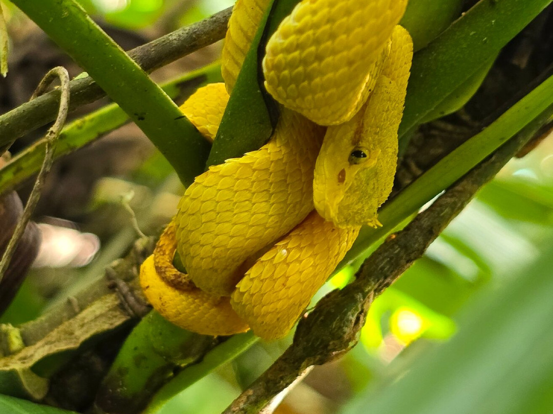 Sloths Paradise Rainforest-Bijagua de Upala必去景点