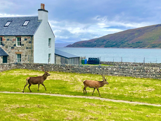 Applecross Beach-Applecross必去景点