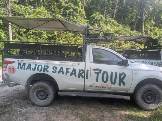 Major Safari Tour-利巴诺伊必去景点