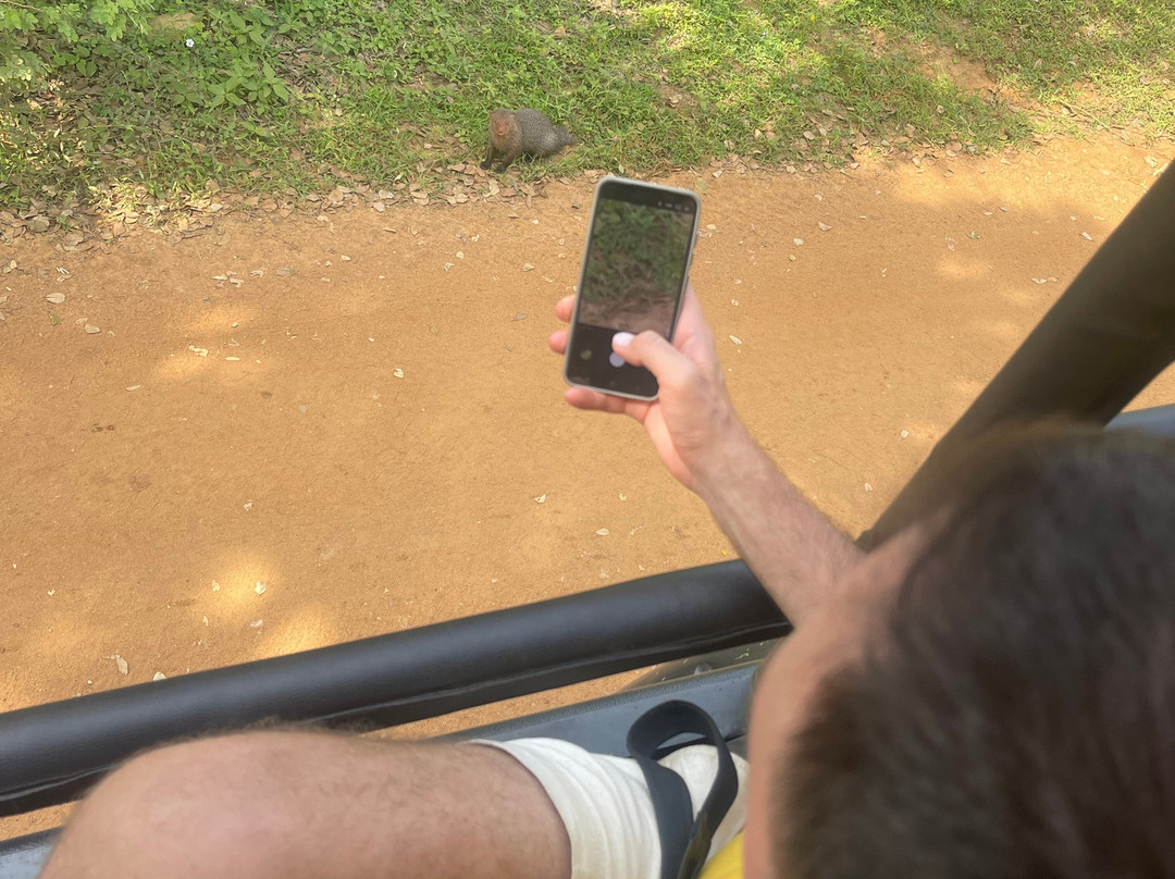 Yala Safari by WildQuest Tours-蒂瑟默哈拉默必去景点