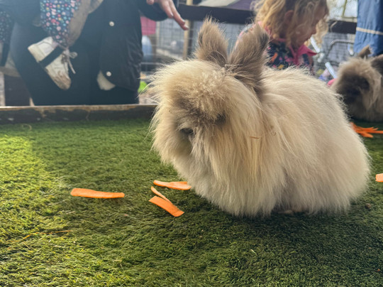 Thrift Farm-Whaddon必去景点