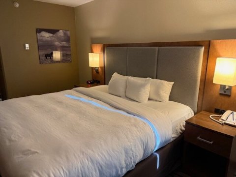 Crystal Inn Hotel & Suites Great Falls-官方