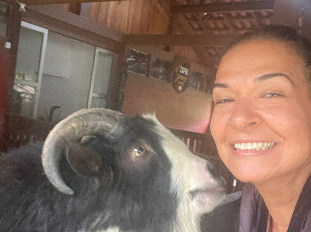 Fazenda Genève-特雷索波利斯必去景点