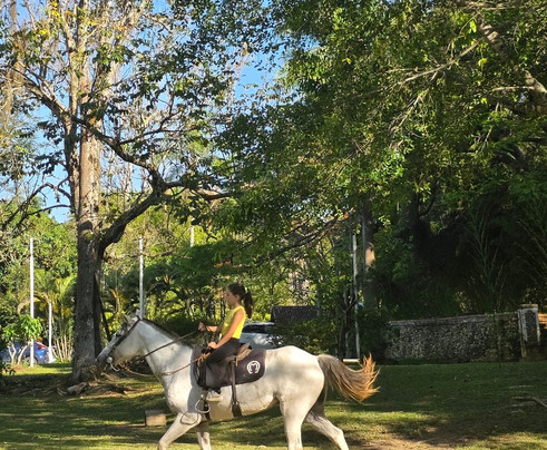 Bocaina Experience - Turismo & Cultura-Sao Jose do Barreiro必去景点