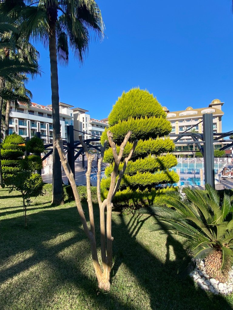 Aydinbey King's Palace & Spa-官方