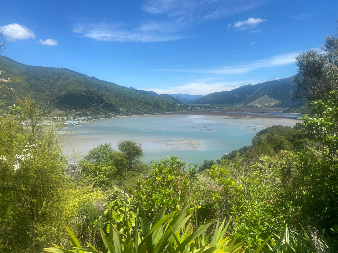 Cullen Point Tracks-布伦海姆必去景点