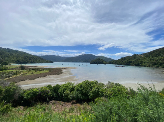 Queen Charlotte Drive-皮克顿必去景点