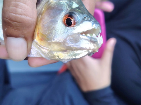 Rio Tambococha-Coca必去景点