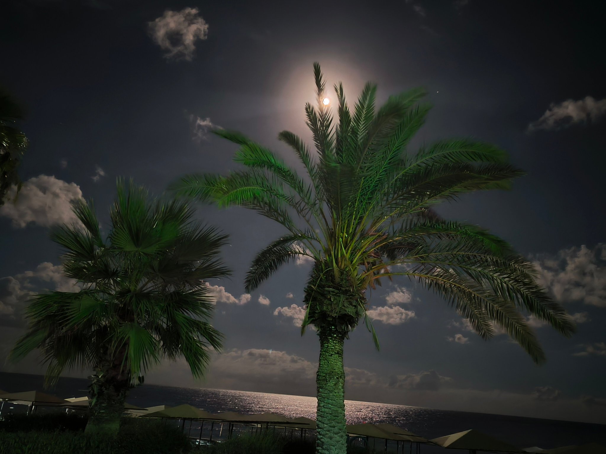 L'Oceanica Beach Resort Hotel-官方