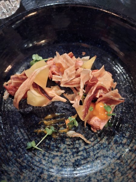 Villa la Vida-官方