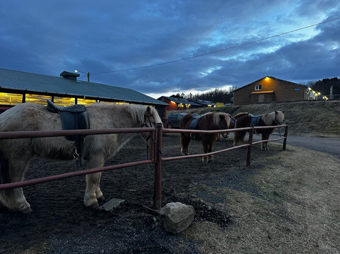 冰岛骑马之旅-雷克雅未克必去景点