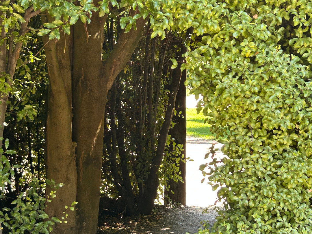 瓦纳卡薰衣草农场-瓦纳卡必去景点