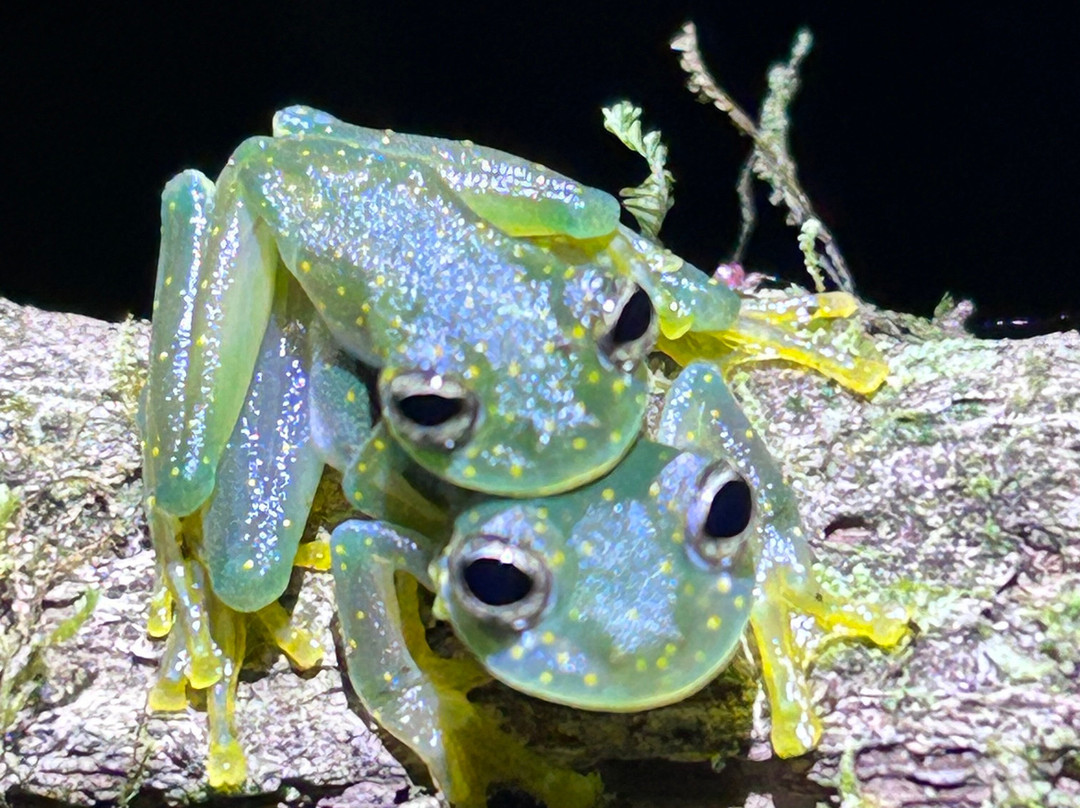 Santa Lucia Falls-乌维塔必去景点