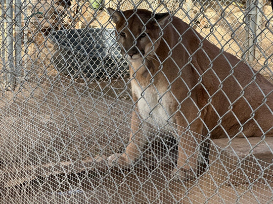 Southwest Wildlife Conservation Center-斯科茨代尔必去景点