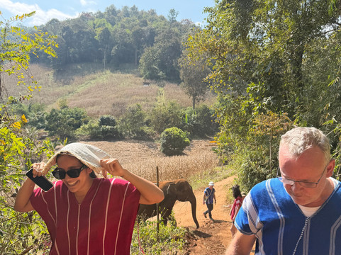 JohnnyBoy Elephant Care-清迈必去景点