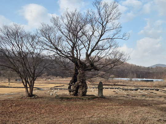 Wonju Beobcheonsaji-原州市必去景点