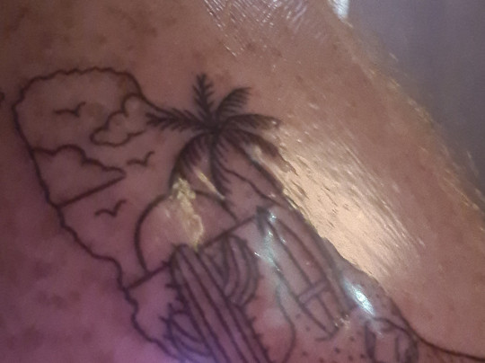 Shark Tattoo Caleta-Caleta de Fuste必去景点