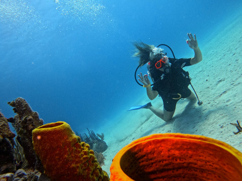 Diving Dominican Republic-Bayahibe必去景点