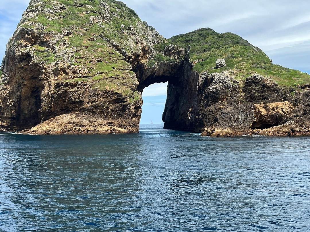 Perfect Day Ocean Cruise-Tutukaka必去景点