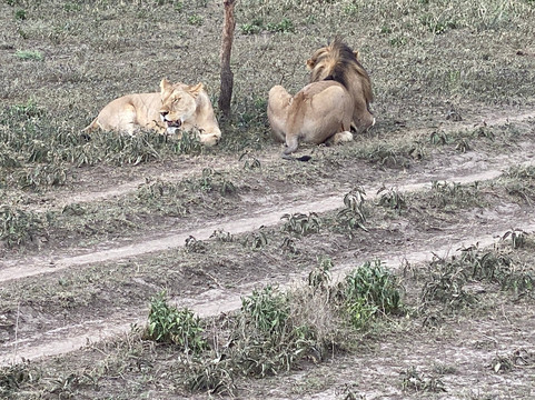 ZAFS Tours-莫西必去景点