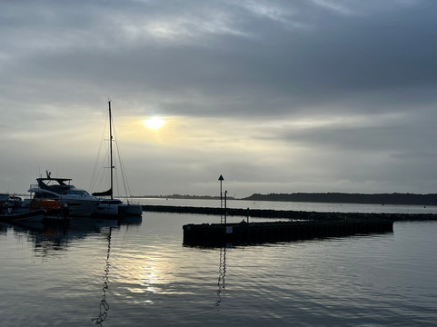 Birds Of Poole Harbour Events-普尔必去景点